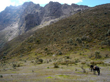 Ecuador-Highlands Riding Tours-Cotopaxi Adventure Ride